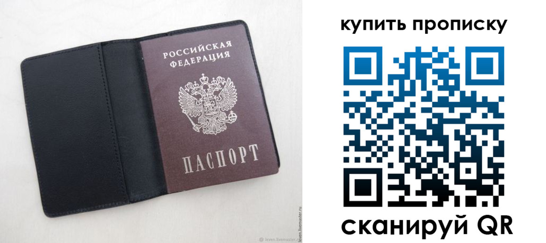 прописка поиск в Апатитах
